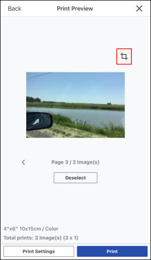 Tap the crop icon (outlined in red) if you want to crop the image