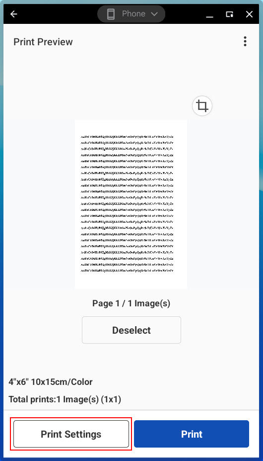 Tap or click Print Settings (outlined in red) to specify the size and color settings used for printing