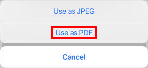 Use as PDF screen shown selected