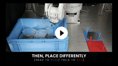 3D Machine Vision System