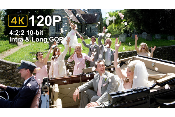 bride and groom in carriage