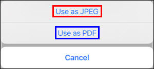 Tap Use as JPG (outlined in red) or Use as PDF (outlined in blue)