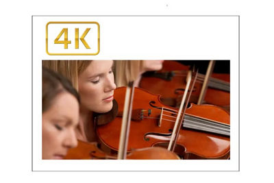 Image 4K de violonistes avec gros plan détaillé