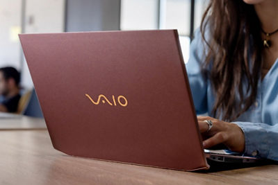 Person Using VAIO Laptop