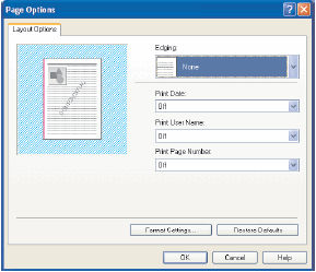 Printer Properties Page Setup tab Win2000/XP L120