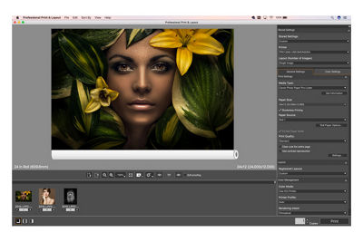 Professional Print & Layout software