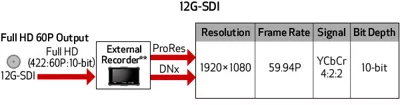 12G-SDI Graph Example