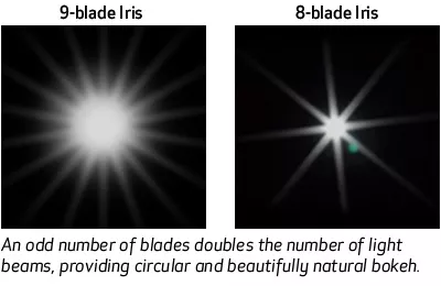 9-blade Iris example