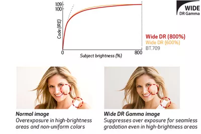 Wide DR Gramma (800%) Support Example