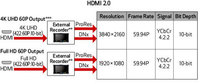 HDMI 2.0 terminal example