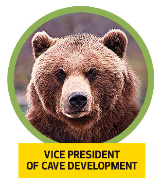 Photo of a bear with the caption "vice president of cave development."