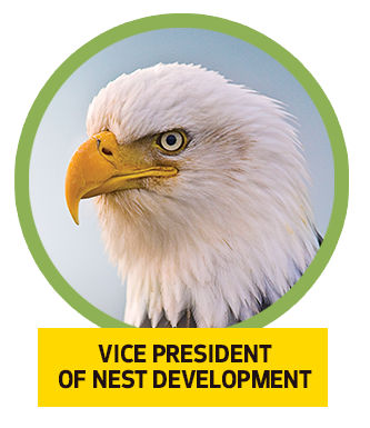 Photo of an eagle with the caption "vice president of nest development."