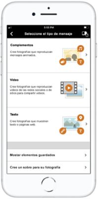 Escoja el estilo de complemento que desea agregar