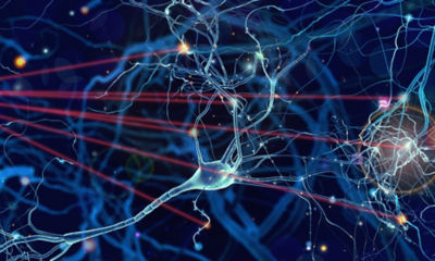 Optogenetics Lights Up Neuroscience Research