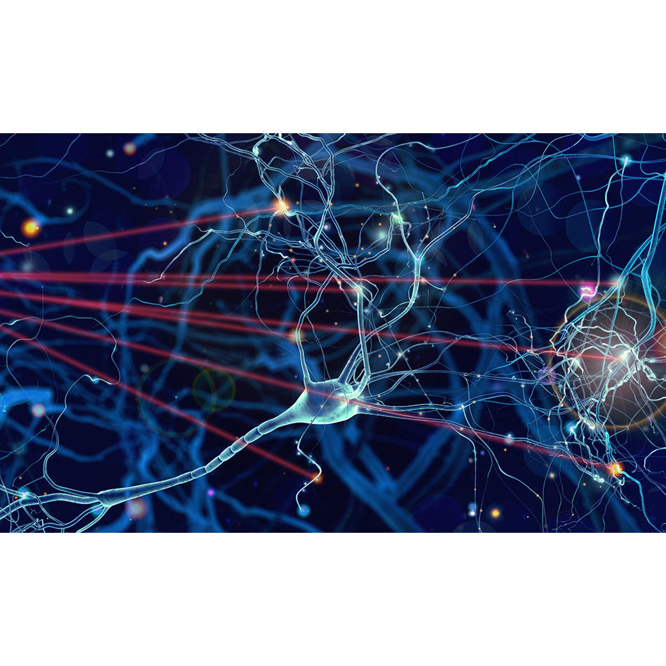 광유전학을 통한 신경 과학 연구 지원
