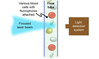 Laser und Blut 