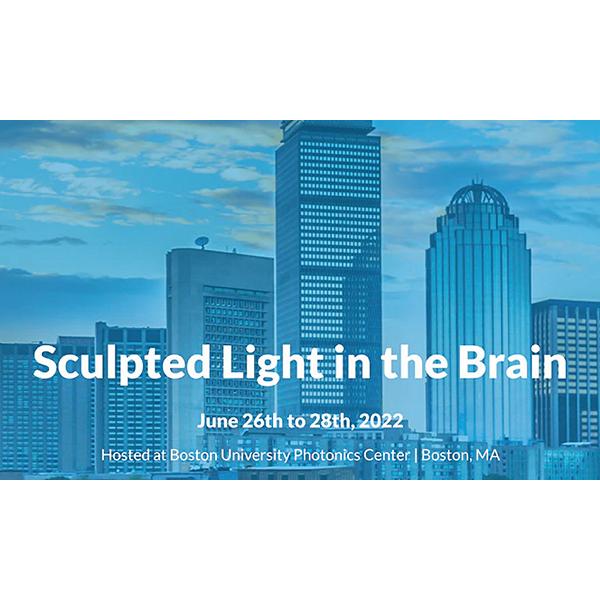 Sculpted Light in the Brain 2022