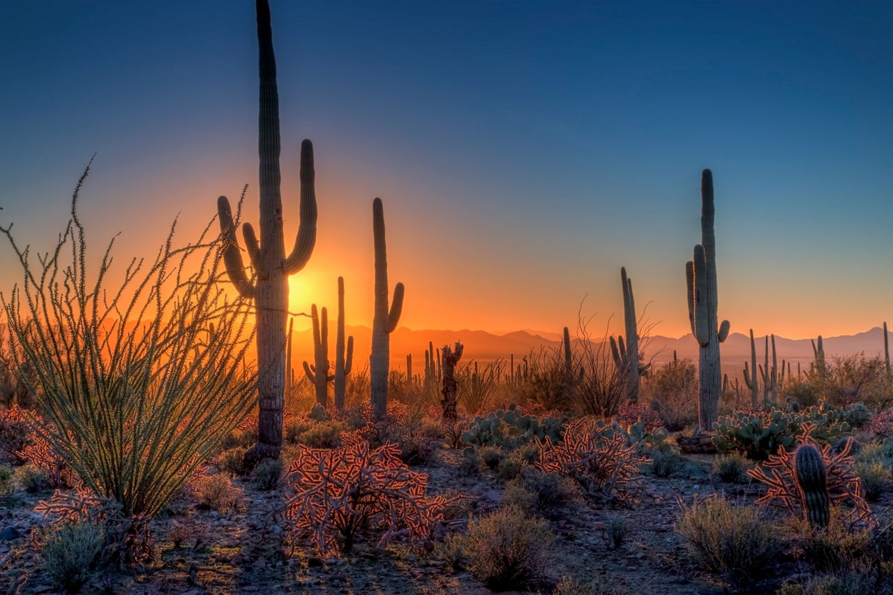 arizona