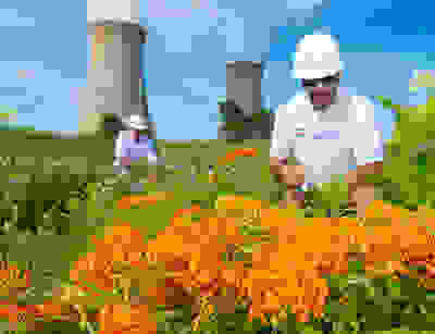 Employees take time to preserve biodiversity outside of the company’s Limerick Clean Energy Center