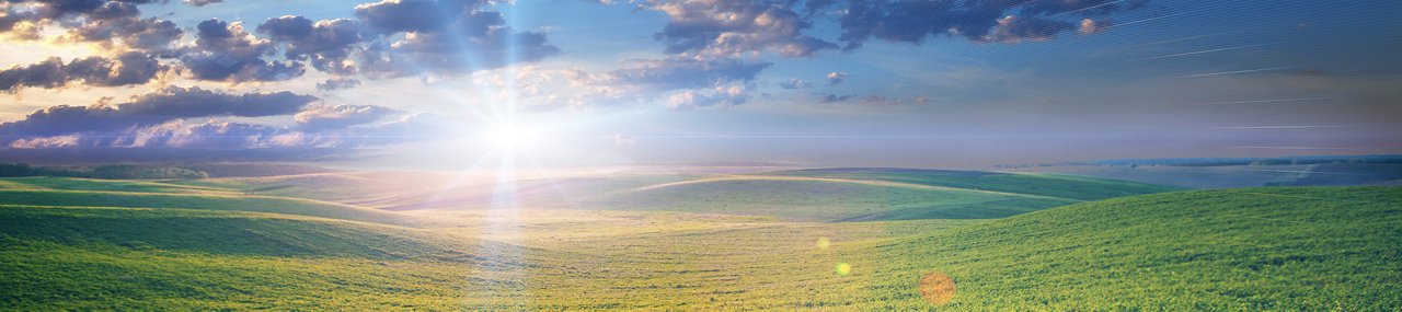 Field of green grass; Shutterstock ID 348890309; PO: Pay by CC; Client: Corning Incorporated