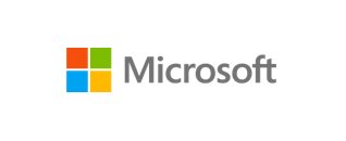 Microsoft Icon 