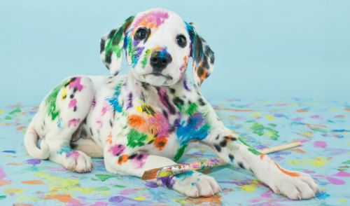 benefits of full colour