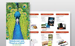 Customizable brochures