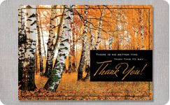 Thanksgiving Cards