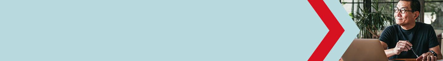 Deluxe High Security Checks