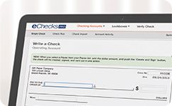 eChecks are fast, easy and secure checks that businesses email to make payments