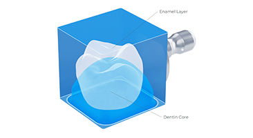 Cross-section of CEREC Cercon 4D zirconia block showing dentin core and enamel layer for natural esthetics