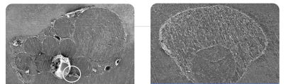 GuttaCore Obturators | Dentsply Sirona Global