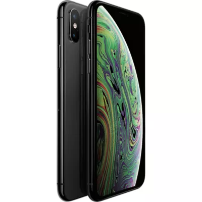 iPhone XS and iPhone XS Max Camera Guide