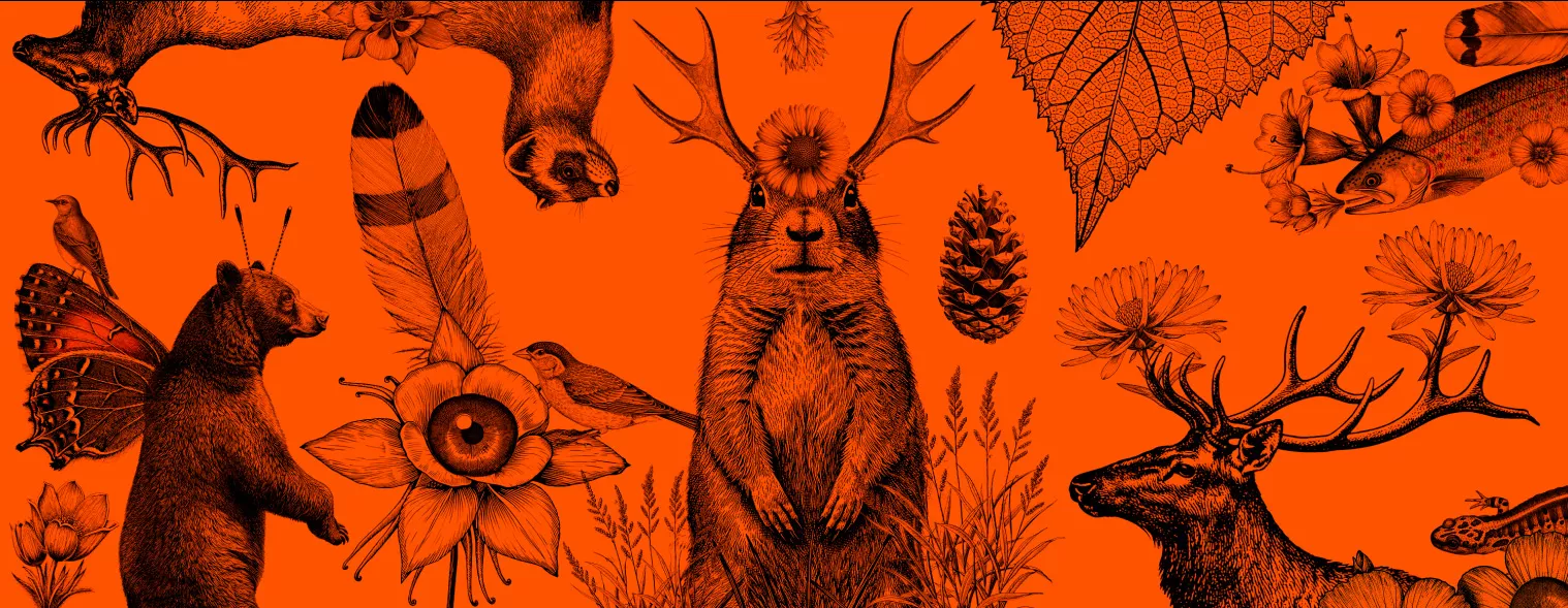 animal design background