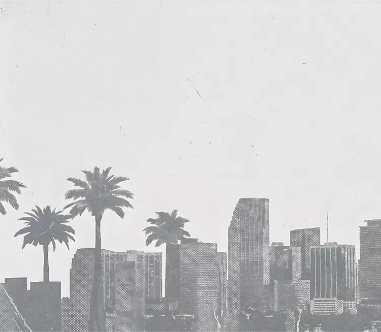 Grey palm tree background 