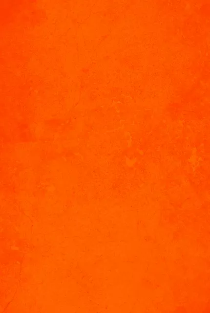 Tyson orange background