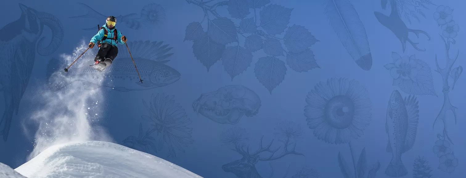 Skier Aerial Ski Jumping