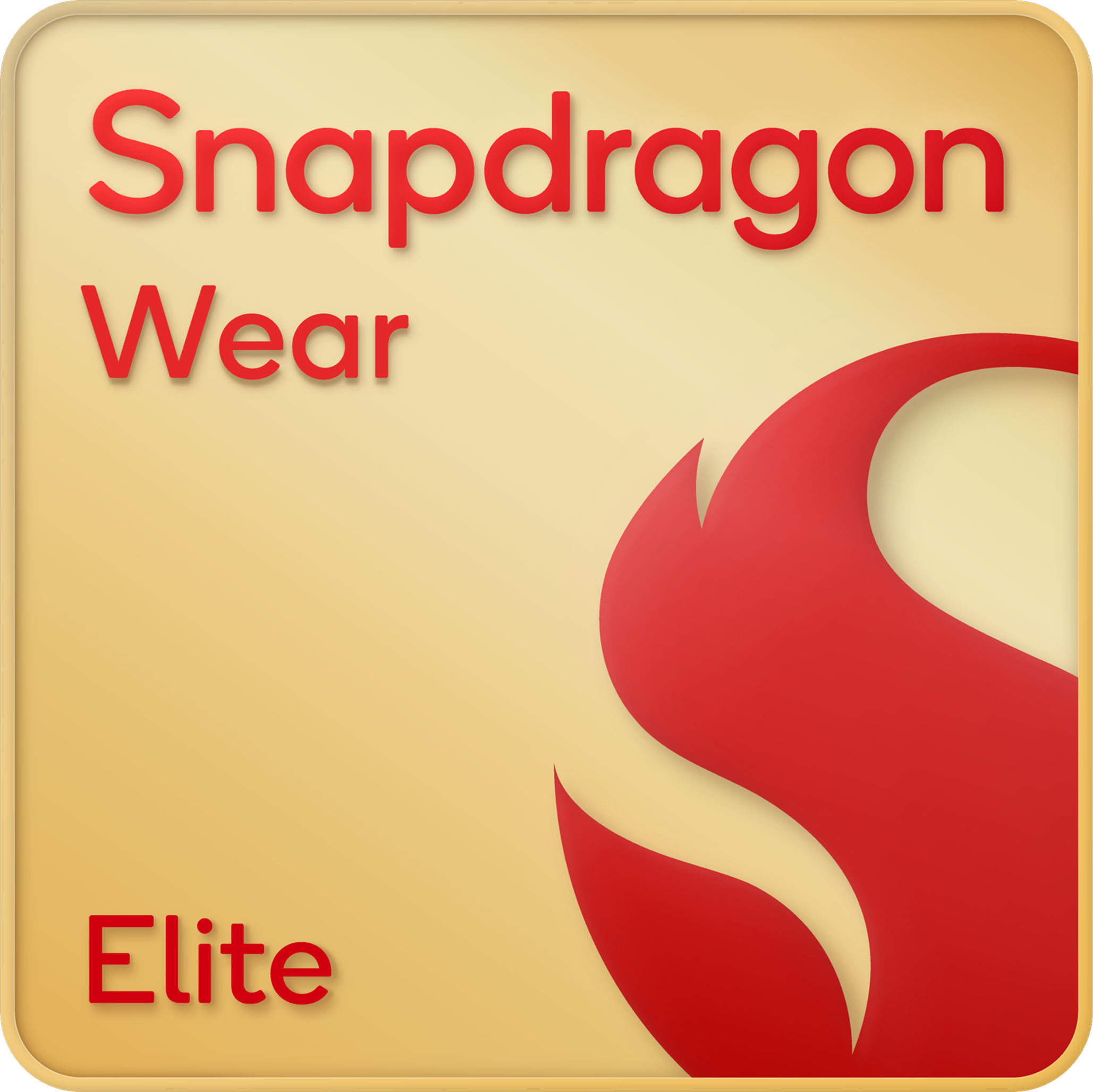 Uploaded chip image