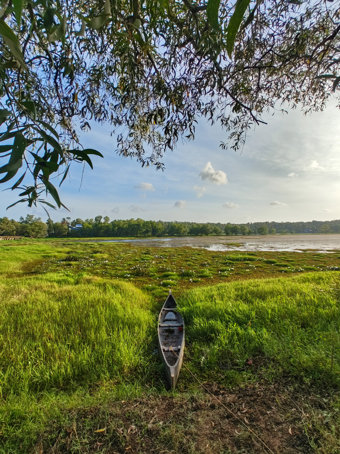 A canoe is centered in the image, around it is a lush green area with water in the distance.  