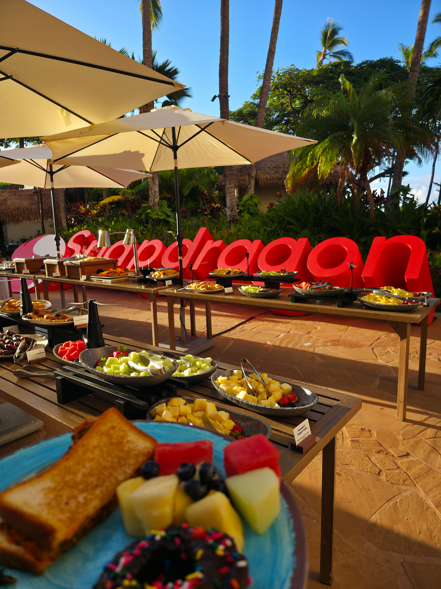 Qualcomm-image
