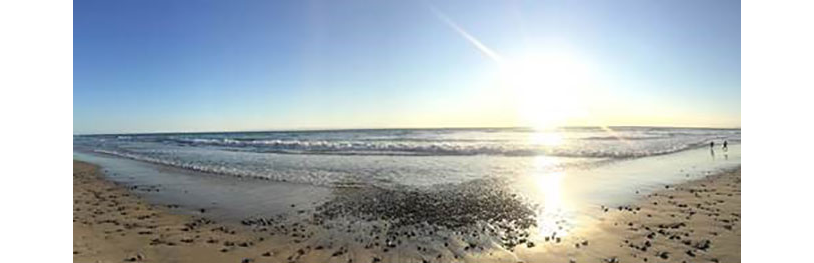 Frances (Frankie) Frye, Staff IT Project Manager, took this photo on a long walk on the beach after work at Moonlight Beach in Encinitas, California, USA during the QChallenge.