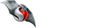 Snapdragon Elite Gaming