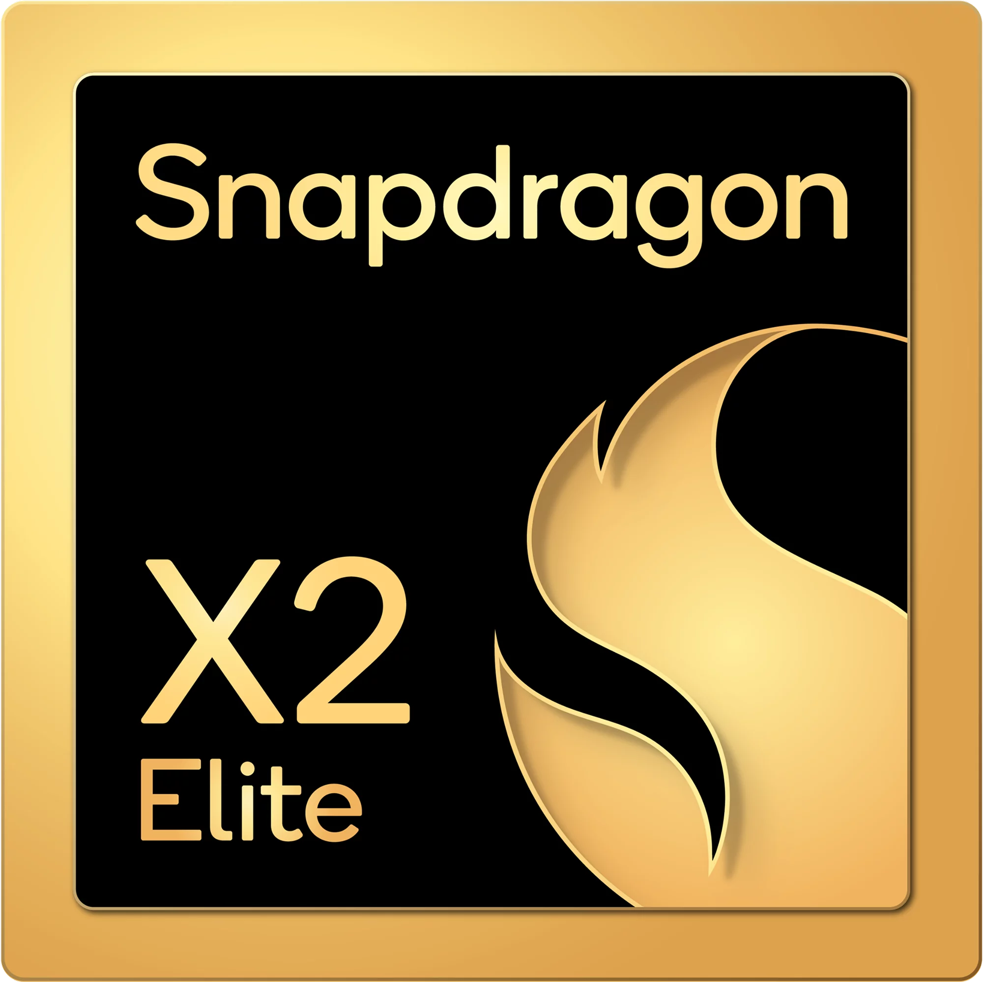 chip image