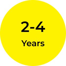2 to 4 years
