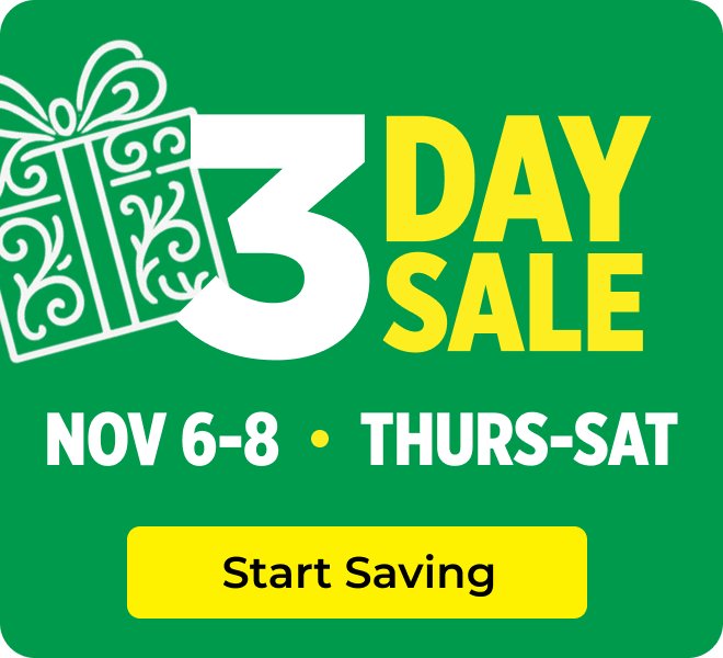 Promo: Holiday 3 Day sale