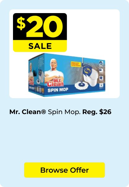$20 Mr Clean mop
