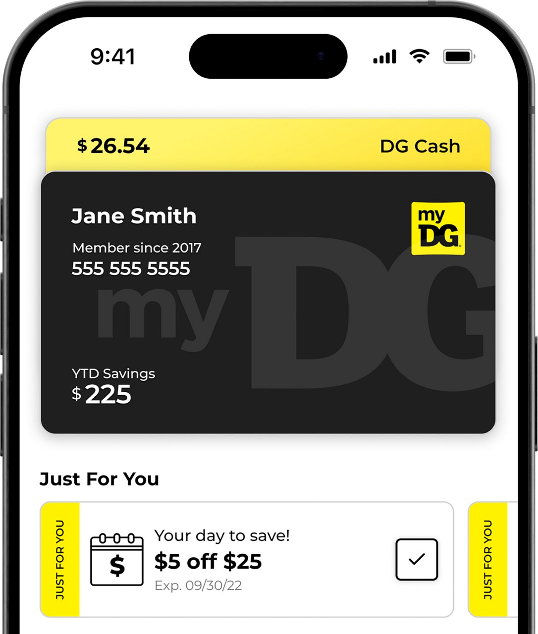 DG wallet