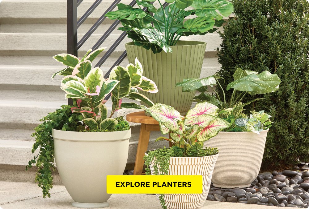 Planters & Flower Pots
