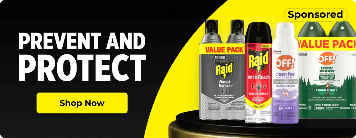 Raid