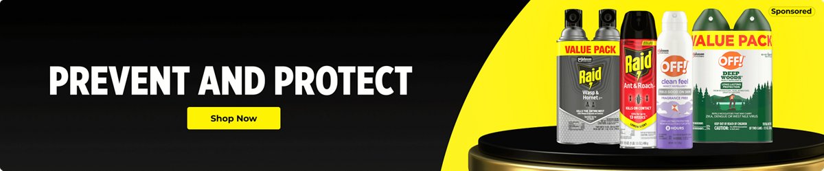 Raid